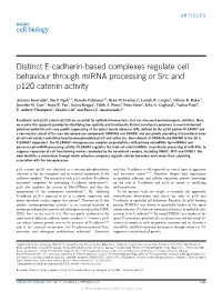 Distinct E-Cadherin-Based Complexes Regulate Cell Behaviour Through Mirna Processing Or Src and P120 Catenin Activity