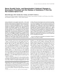 Nerve Growth Factor- and Neurotrophin-3-Induced Changes in Nociceptive Threshold and the Release of Substance P from the Rat Isolated Spinal Cord
