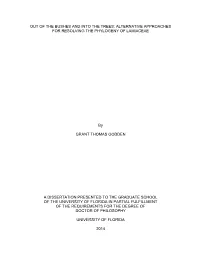 Alternative Approaches for Resolving the Phylogeny of Lamiaceae
