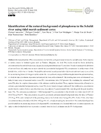 Identification of the Natural Background of Phosphorus in the Scheldt River Using Tidal Marsh Sediment Cores