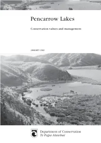 Pencarrow Lakes Values And