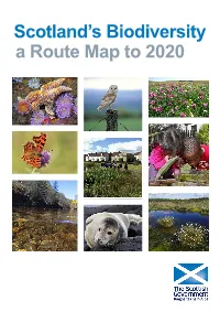 Scotland's Biodiversity: a Route Map to 2020