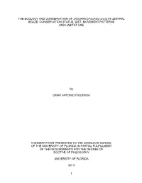 University of Florida Thesis Or Dissertation Formatting