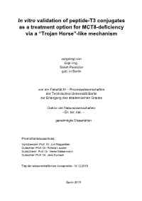 In Vitro Validation of Peptide-T3 Conjugates As a Treatment Option for MCT8-Deficiency Via a “Trojan Horse”-Like Mechanism