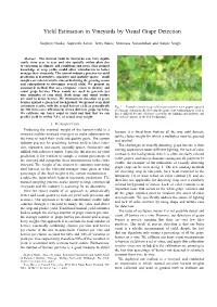 Yield Estimation in Vineyards by Visual Grape Detection