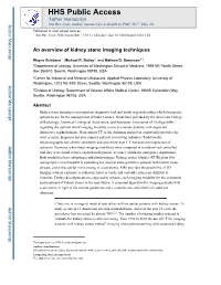 An Overview of Kidney Stone Imaging Techniques