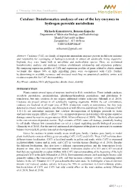 Catalase: Bioinformatics Analyses of One of the Key Enzymes in Hydrogen Peroxide Metabolism