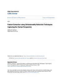 Feature Extraction Using Dimensionality Reduction Techniques: Capturing the Human Perspective