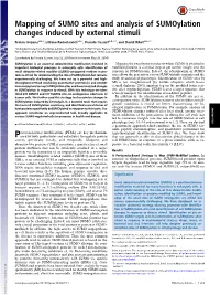 Mapping of SUMO Sites and Analysis of Sumoylation Changes Induced by External Stimuli