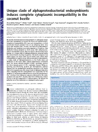 Unique Clade of Alphaproteobacterial Endosymbionts Induces Complete Cytoplasmic Incompatibility in the Coconut Beetle