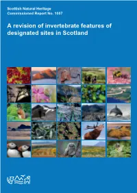 A Revision of Invertebrate Features of Designated Sites in Scotland