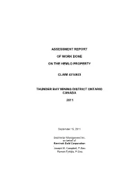 ASSESSMENT REPORT of WORK DONE on the HEMLO PROPERTY, THUNDER BAY MINING DISTRICT ONTARIO, CANADA, 2007 and 2008; April 2009; Assessment Report