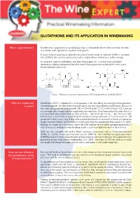Glutathione and Its Application in Winemaking