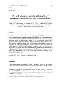 The Pff Plasmids" Cassettes Utilising Camv Sequences for Expression of Foreign Genes in Plants