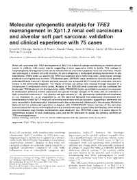 Molecular Cytogenetic Analysis for TFE3 Rearrangement In