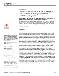 Triplet-Pore Structure of a Highly Divergent TOM Complex of Hydrogenosomes in Trichomonas Vaginalis
