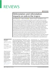 Deforestation and Reforestation Impacts on Soils in the Tropics