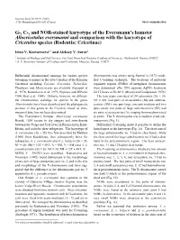 G-, C-, and NOR-Stained Karyotype of the Eversmann's Hamster Allocricetulus Eversmanni and Comparison with the Karyotype of Cr