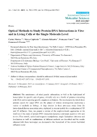 Optical Methods to Study Protein-DNA Interactions in Vitro and in Living Cells at the Single-Molecule Level