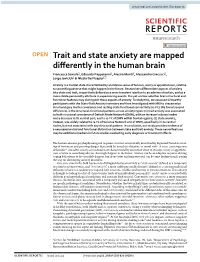 Trait and State Anxiety Are Mapped Differently in the Human Brain