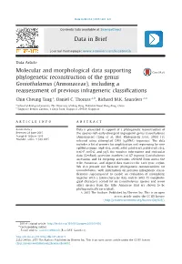 Molecular and Morphological Data Supporting