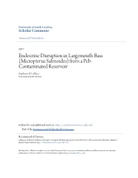Endocrine Disruption in Largemouth Bass (Micropterus Salmoides) from a Pcb- Contaminated Reservoir Stephanie B