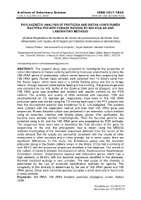 Phylogenetic Analysis of Protozoa and Sistan Cow's Rumen Bacteria Fed with Forage Rations by Molecular and Laboratory Methods