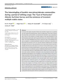 The Intermingling of Benthic Macroinvertebrate Communities During a Period of Shifting Range: the “East of Nantucket” Atlant