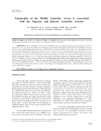 Topography of the Middle Genicular Artery Is Associated with the Superior and Inferior Genicular Arteries