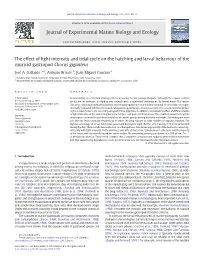 The Effect of Light Intensity and Tidal Cycle on the Hatching and Larval Behaviour of the Muricid Gastropod Chorus Giganteus