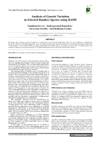 Analysis of Genetic Variation in Selected Bamboo Species Using RAPD