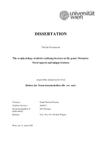 Dissertation