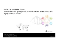 Small Circular DNA Viruses: the Muddy Viral “Playground” of Recombinant, Reassortant, and Highly Diverse Viruses