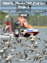 Atlantic Flyway Disturbance Project