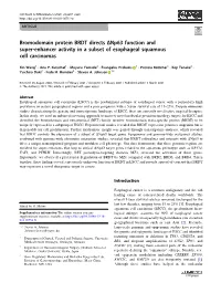 Bromodomain Protein BRDT Directs Î”Np63 Function and Super