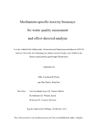 Mechanism-Specific Toxicity Bioassays for Water Quality Assessment and Effect-Directed Analysis” Supervisor: Prof