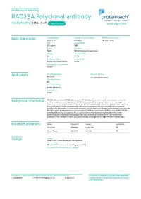 RAD23A Polyclonal Antibody