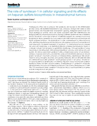 The Role of Syndecan-1 in Cellular Signaling and Its Effects on Heparan