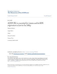 ADIPOR1 Is Essential for Vision and Its RPE Expression Is Lost in the Mfrp Valentin M Sluch