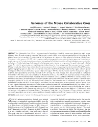 Genomes of the Mouse Collaborative Cross