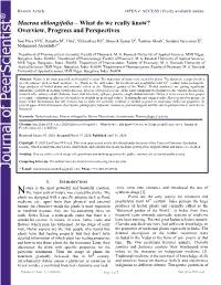 Maerua Oblongifolia – What Do We Really Know? Overview, Progress and Perspectives