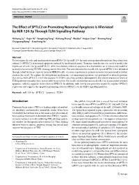 The Effect of SPTLC2 on Promoting Neuronal Apoptosis Is Alleviated By