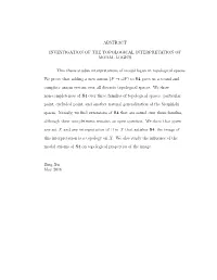 Abstract Investigation of the Topological Interpretation