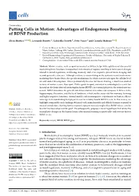 Putting Cells in Motion: Advantages of Endogenous Boosting of BDNF Production