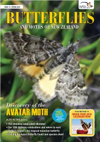 Avatar Moth When Your