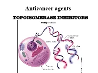 Anticancer Agents Topoisomerase Inhibitors Topoisomerases Are Separated Into Two Types - Topoisomerases I and II