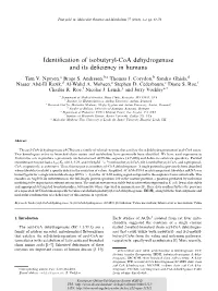 Identification of Isobutyryl-Coa Dehydrogenase and Its Deficiency