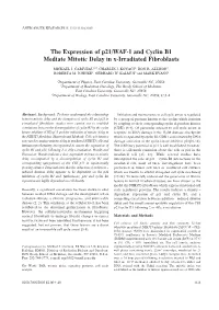 The Expression of P21/WAF-1 and Cyclin B1 Mediate Mitotic Delay in X-Irradiated Fibroblasts