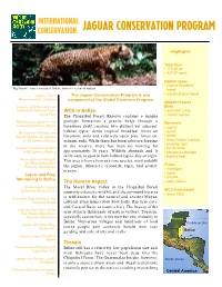 Jaguar Conservation Program