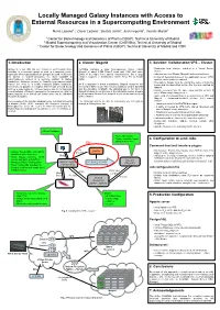 Locally Managed Galaxy Instances with Access to External Resources in a Supercomputing Environment